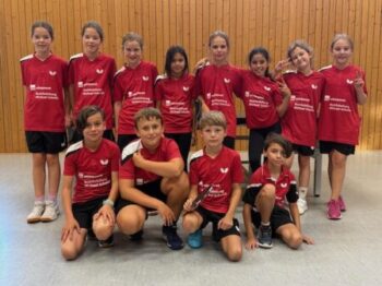 U11a